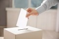 Члены избирательных комиссий Беларуси всю ночь вели подсчет голосов