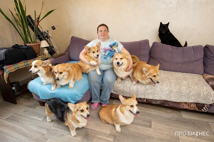 ФОТО: «Жизнь с собакой — это „день сурка“: постоянно одно и то же». Как работает питомник с самыми мимишными собаками