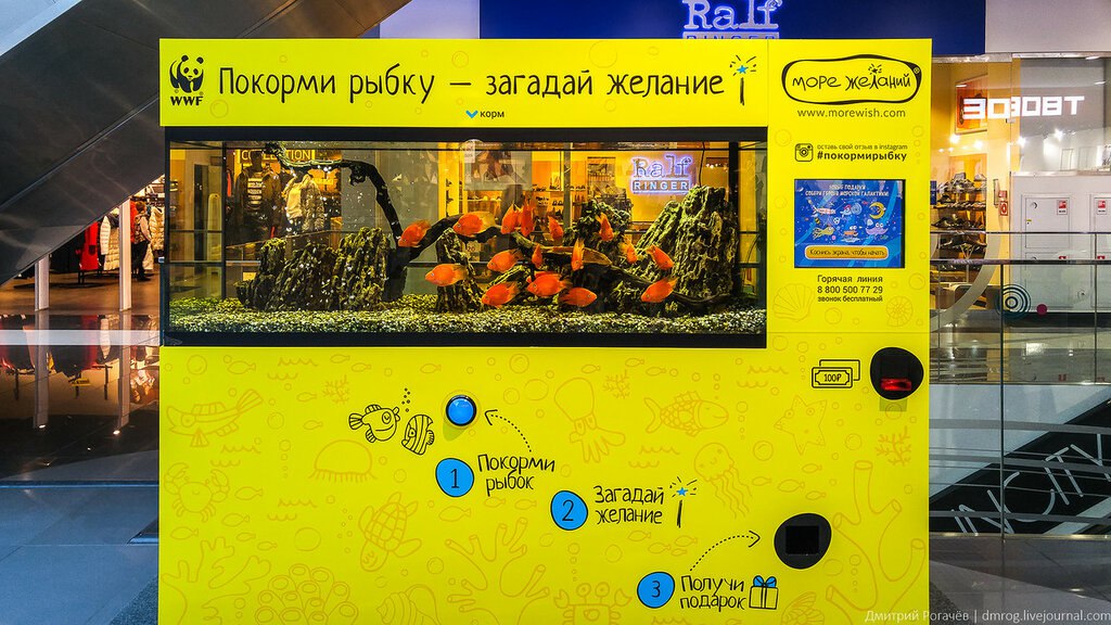 Пельмени, живые крабы, люксовые духи и даже авто: что можно купить в самых необычных вендинговых автоматах со всего мира