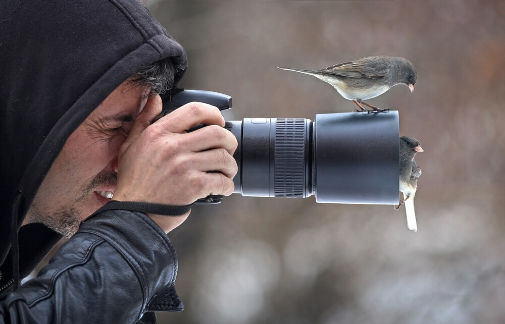 Чемпионат по фотоохоте на птиц прошел в Беларуси