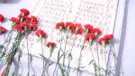 Медики Содружества высадили Аллею памяти у воинского захоронения в Озаричах
