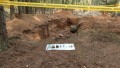 Более 120 захоронений обследуют в рамках уголовного дела о геноциде в Беларуси