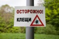 Места для отдыха в Беларуси начали обрабатывать от клещей