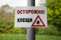 Места для отдыха в Беларуси начали обрабатывать от клещей