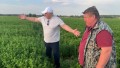 Лукашенко оценил экспериментальные поля с кукурузой и травами
