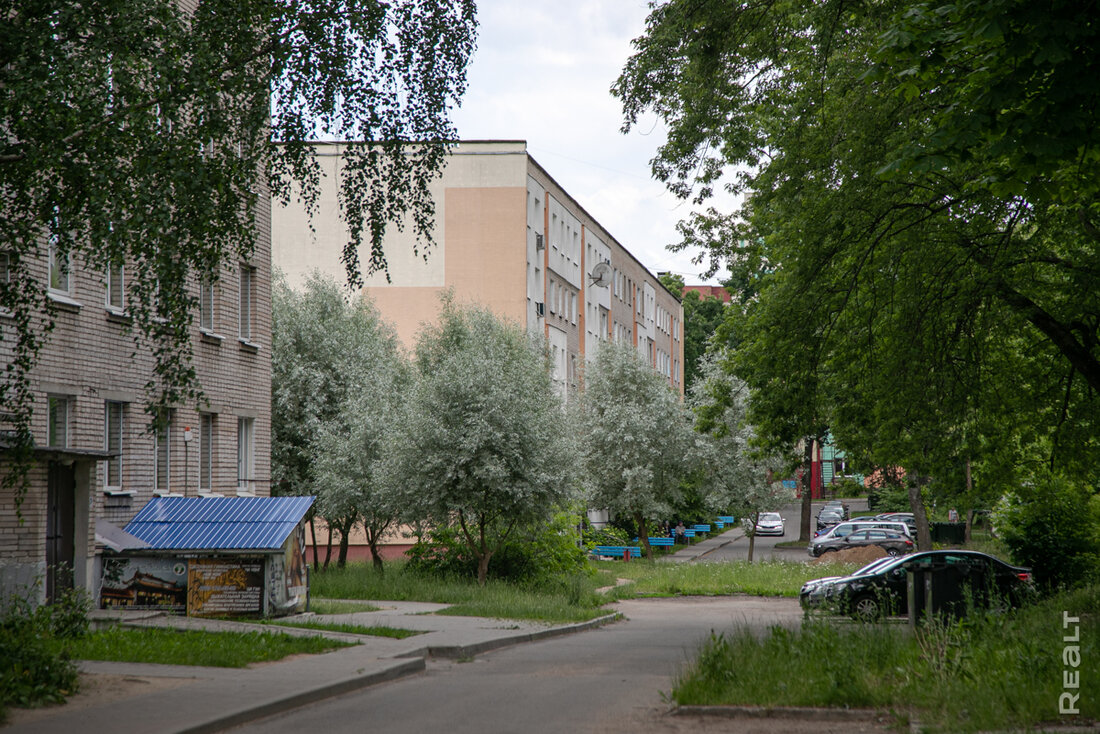«Косули ходят практически у подъезда». Как живется в многоэтажках в поселке Лесном под Минском