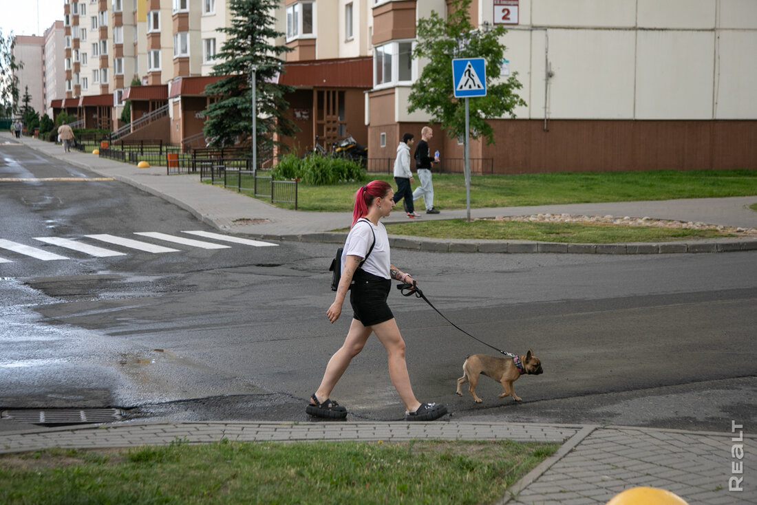 «Косули ходят практически у подъезда». Как живется в многоэтажках в поселке Лесном под Минском