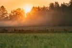Погода в СНГ: богатый урожай кормовых созрел после дождей в Кыргызстане, обитателей зоопарка в Гродно кормят мороженым