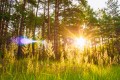 Погода в СНГ: в Кыргызстане река изменила цвет, в Беларуси тепло и солнечно