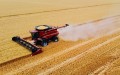 Лукашенко оценил начало уборочной кампании в Гродненской и Брестской областях