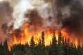 Лесные пожары: белорусские спасатели усилили наблюдение за районами возможных возгораний
