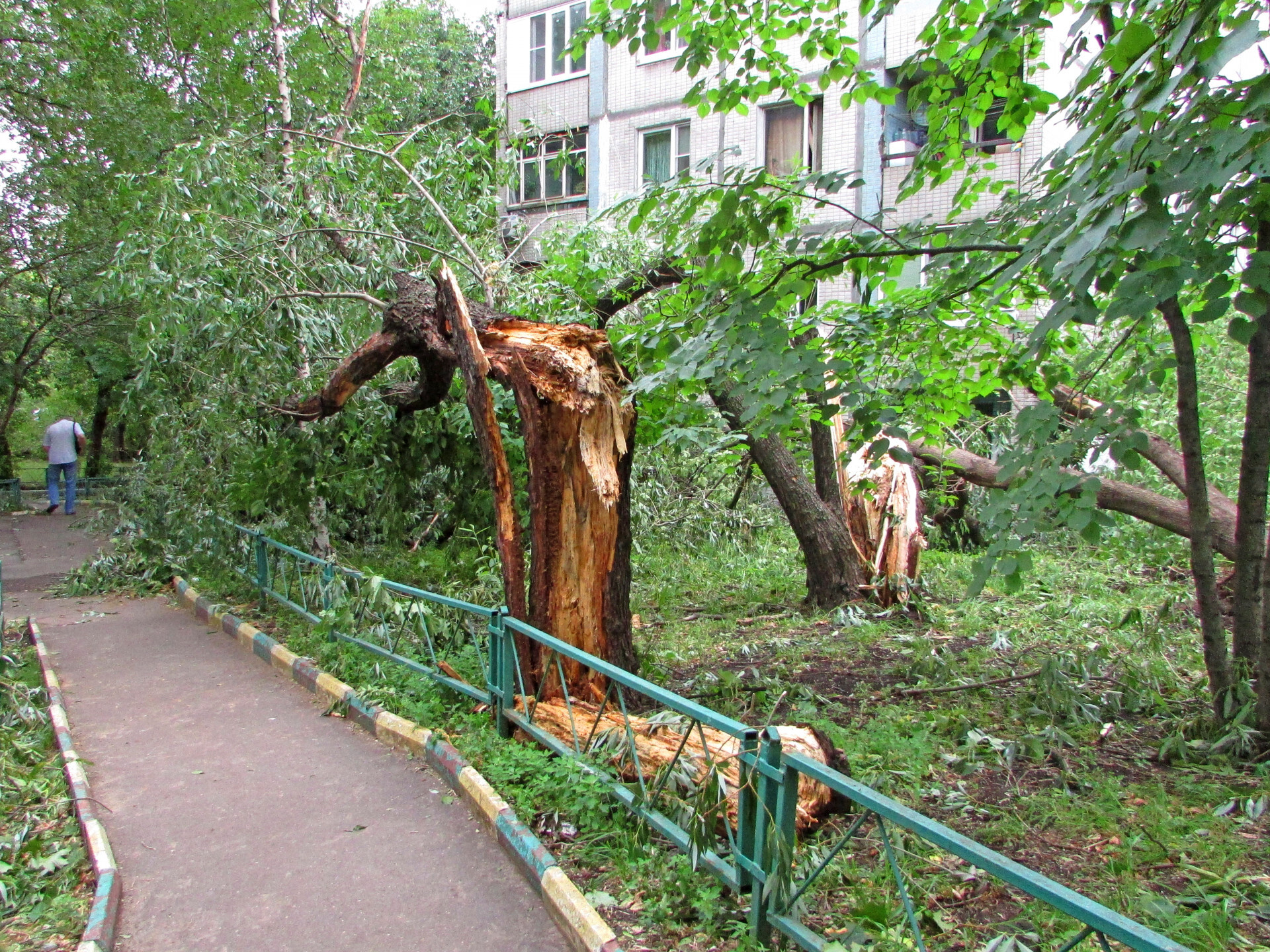 Ураган в Минске: ведется ликвидация последствий стихии