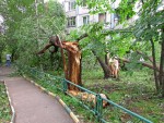 Ураган в Беларуси: в республике убирают вал с ЛЭП, железных дорог и трасс