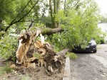 Последствия мощного урагана устраняют в Беларуси