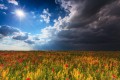 «Оранжевая» жара в Содружестве: от духоты к ураганам
