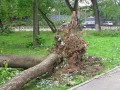 Шторм в Беларуси унес жизни шести человек, 15 получили травмы
