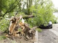 Последствия мощного урагана устраняют в Беларуси