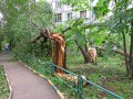Ураган в Минске: ведется ликвидация последствий стихии