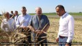 Лукашенко отчитал аграриев за брошенные земли