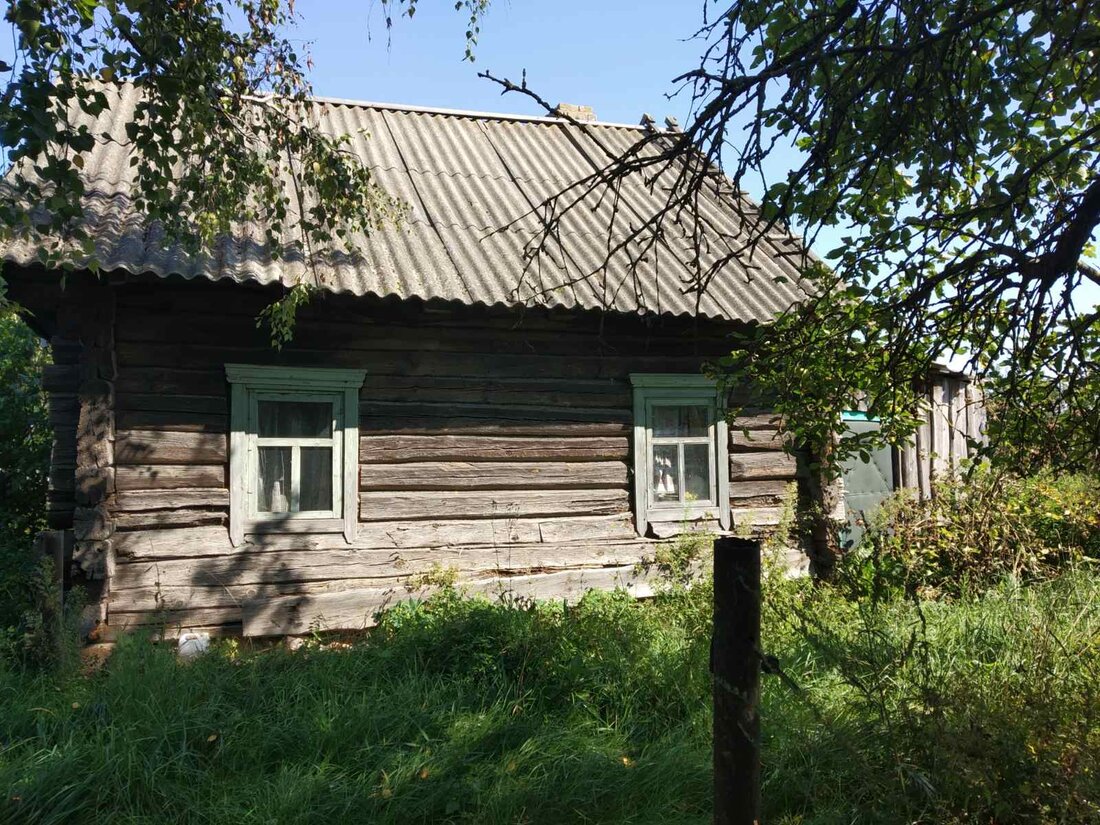 От 3 тысяч долларов. Бюджетные дома в деревнях недалеко от Минска, которые можно купить через аукцион