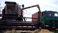И польза, и заработок: школьники и студенты Беларуси подключились к уборочной кампании