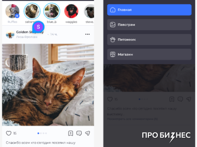 300 тысяч BYN на тюльпаны. Кто ищет деньги для развития бизнеса и почему это непростой процесс