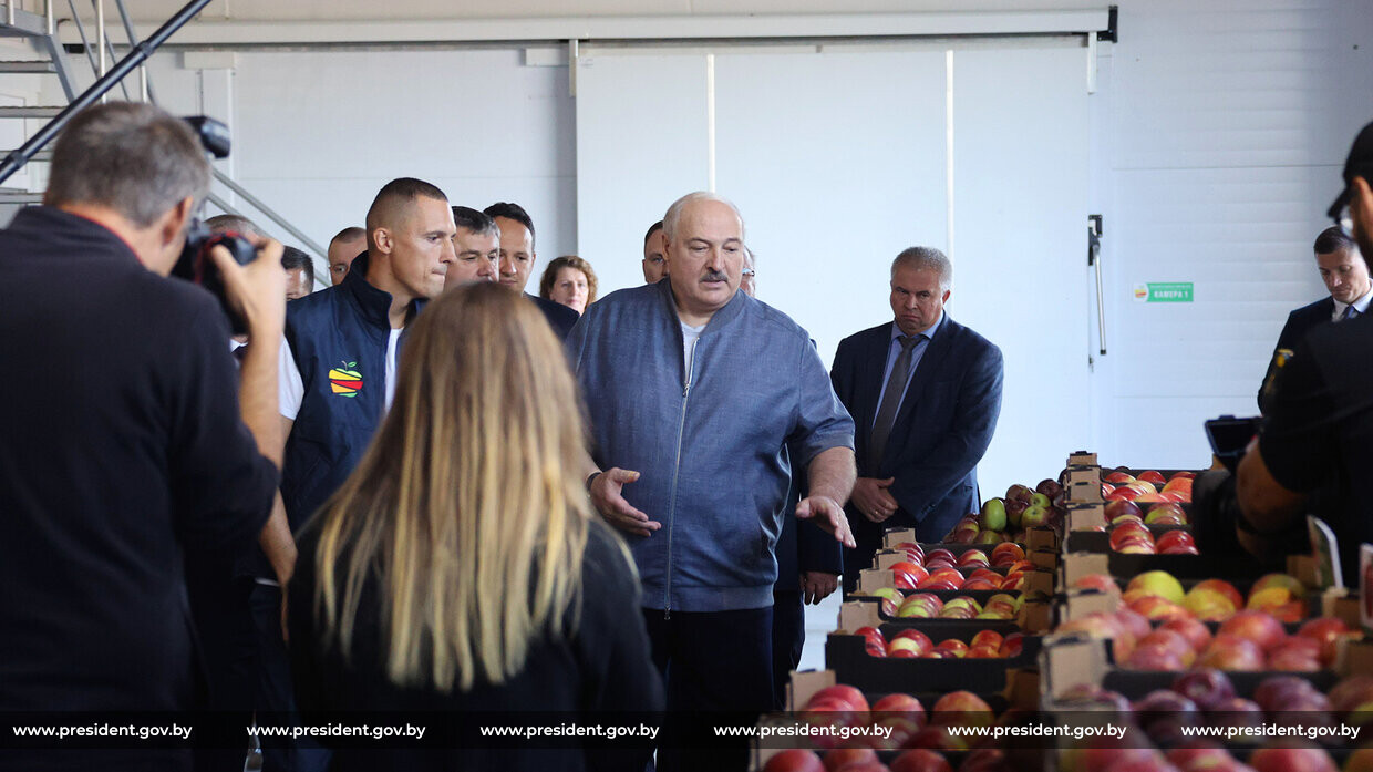 Лукашенко пообещал «подставить плечо» производителям яблок