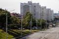 «Столько зелени есть мало в каком районе». Как живется в знаменитых высотках на Партизанском
