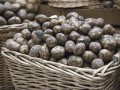 Бульбы хватит всем: белорусские аграрии начали уборку картофеля