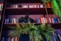 Портрет читателя составили в Беларуси: кто предпочитает книги и какие авторы популярны?