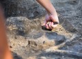 Древнее кладбище обнаружили в Минской области. Археологи раскрыли детали находки