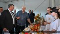 «Хватит кланяться импортному яблоку»: Лукашенко поручил поддержать садоводов Беларуси