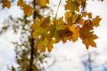 Погода в СНГ: в Кыргызстане дожди сошли на нет, в Беларуси туманно и ветрено