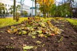Новая жизнь опавших листьев. Как в Беларуси производят удобрения?