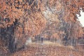 Погода в СНГ: в Казахстане затяжные дожди, в Беларуси комфортная прохлада