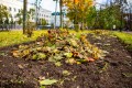 Новая жизнь опавших листьев. Как в Беларуси производят удобрения?