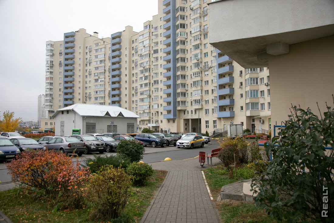 «К нам во двор часто приходят зайцы». Как живется в том самом доме возле светящегося зубра