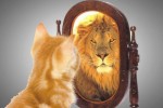 «А вы в зеркало смотрели?» Как банк ошибся с позиционированием и чуть не совершил роковую ошибку