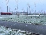 Погода в СНГ: в Беларуси выпал мокрый снег, запад и центр Казахстана оказался во власти циклона