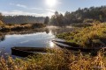 Душевный бизнес белорусской глубинки и уроки предпринимателей на собственных ошибках: новости бизнеса за 4-10 ноября 2024 года