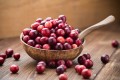 Сезон клюквы в Беларуси: секреты сбора и заготовки красной ягоды
