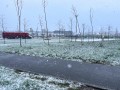 Погода в СНГ: в Беларуси выпал мокрый снег, запад и центр Казахстана оказался во власти циклона