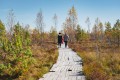 Отдых на болоте: почему туристов манит белорусская трясина?