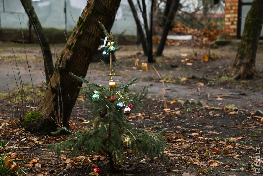 «Этот район — островок спокойствия». Как живется на улице Кузьмы Чорного за проспектом