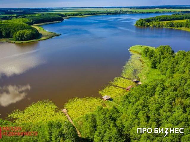 AI-приложение или загородный комплекс: в какие бизнесы можно вложить деньги прямо сейчас