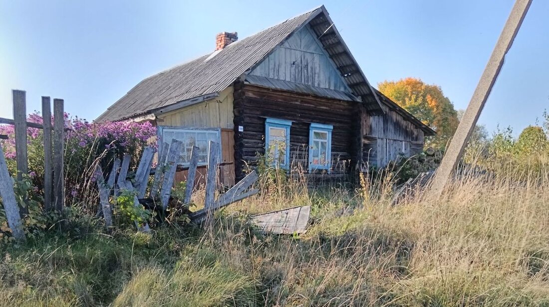 Беспроигрышный вариант за 42 рубля. Смотрим крепкие дома в деревнях под дачу