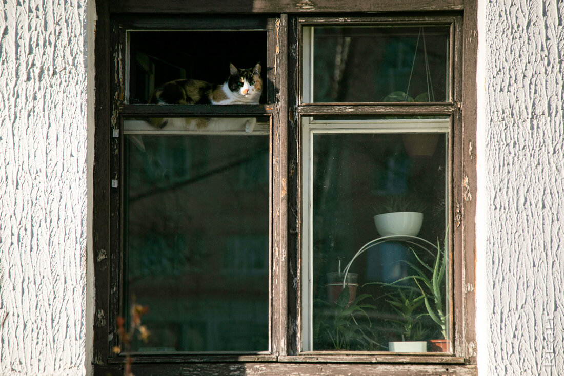 «Район шел в придачу с мужем». Узнали, как живется в старой Масюковщине