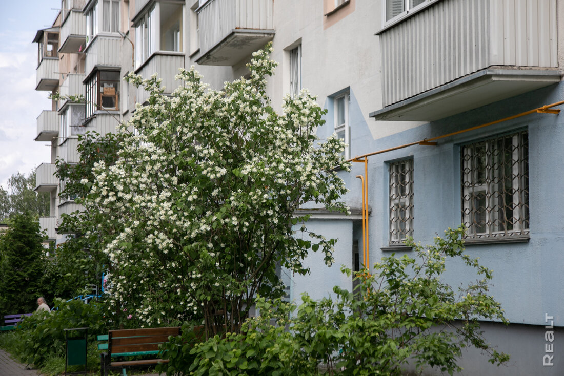 «‎Если поселишься тут — не захочешь переезжать». Как живется в хрущевках на Золотой Горке