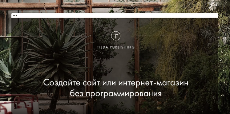 Как создать сайт для бизнеса с нуля