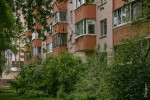 «Прикипел к этому месту душой». Как живется Красном Бору — зеленом районе у Каменной Горки